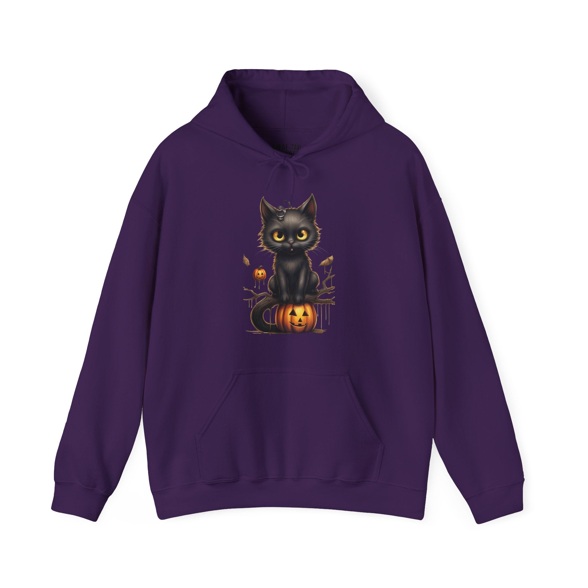 Halloween Hoodie: Black Cat on a Pumpkin