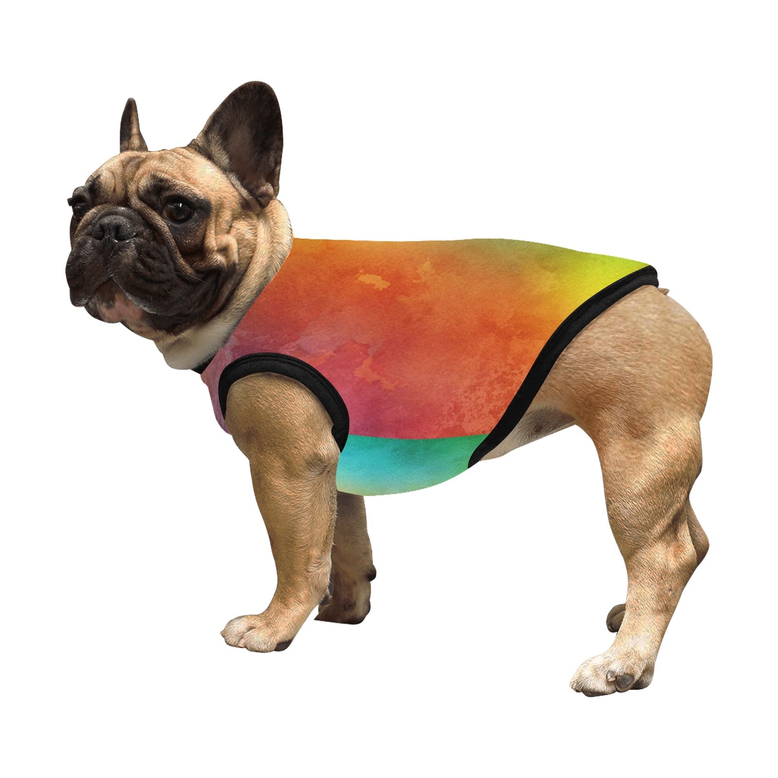 Tye-Dye #2 Pet Tank Top